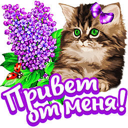 Весна пришла.