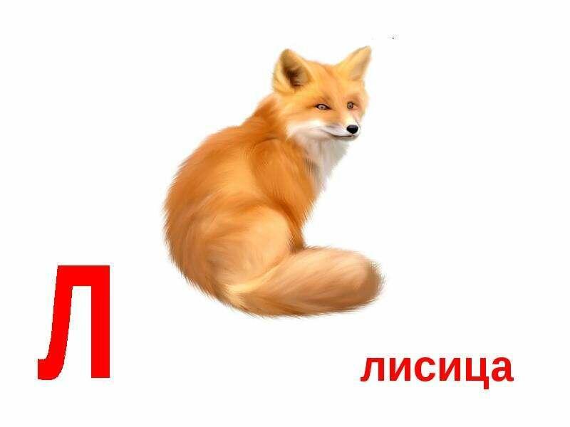 азбука буква л. стих про букву л. характеристика буквы л. 25 декабря день без буквы л картинки. буква л.