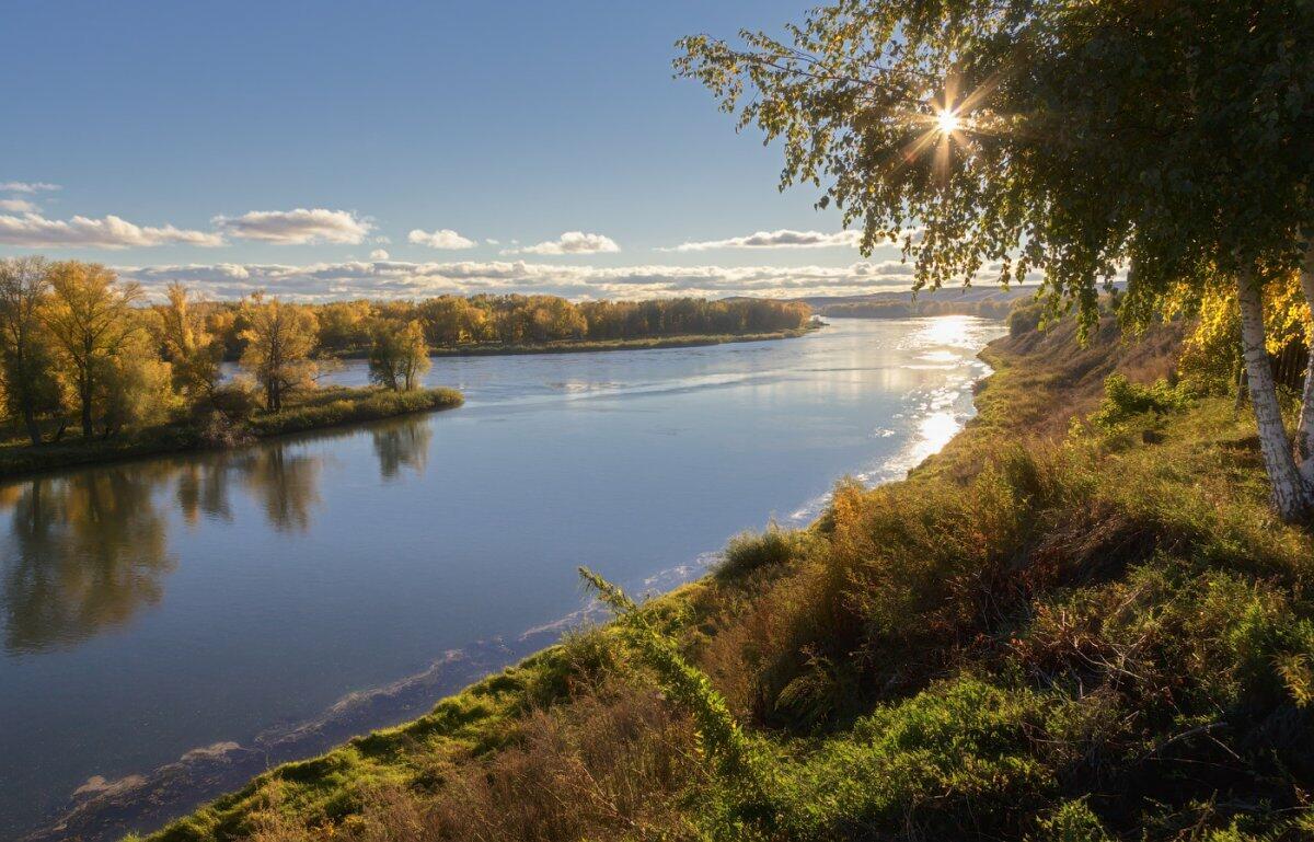 Речной странник