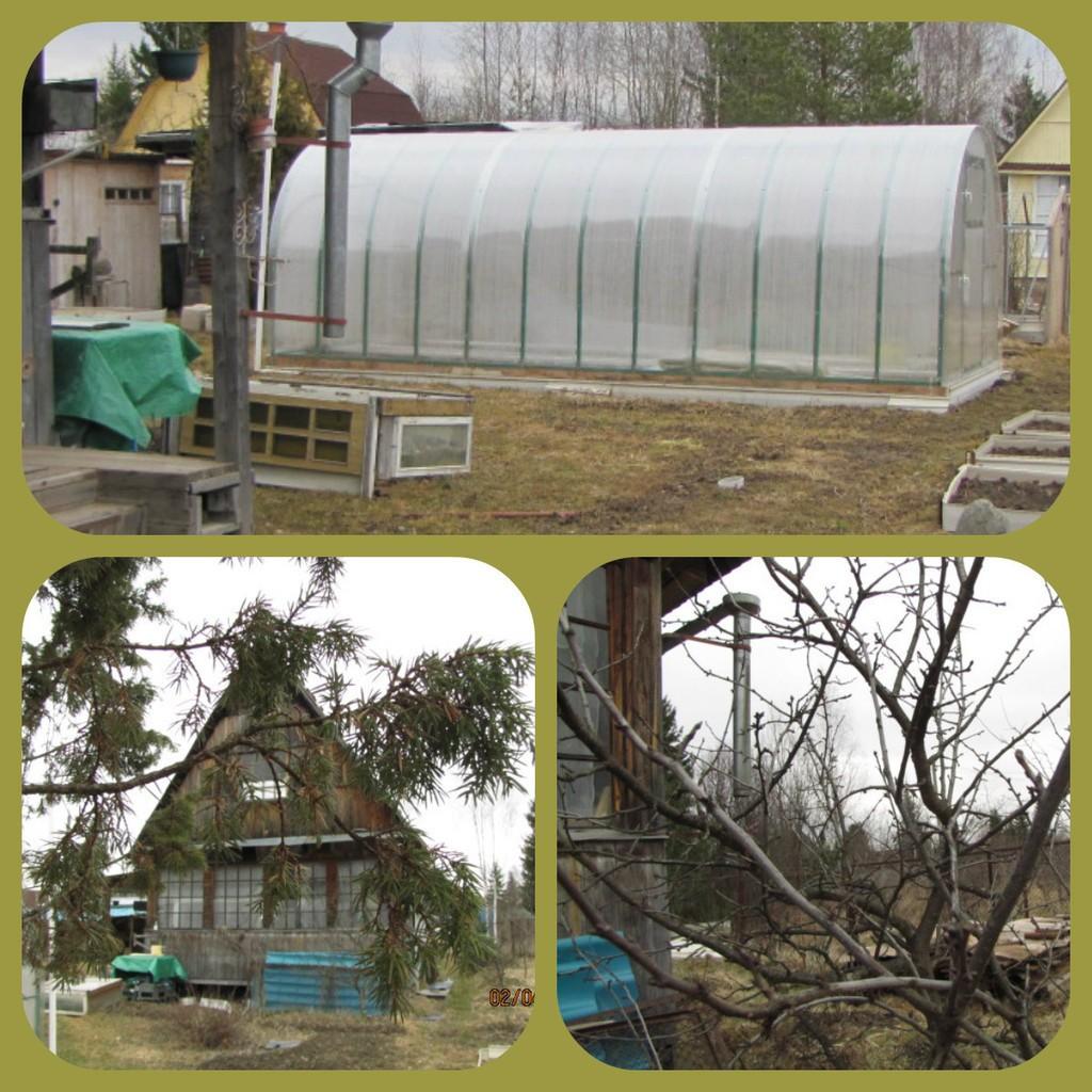 РАЙСКИЕ ПТИЧКИ...