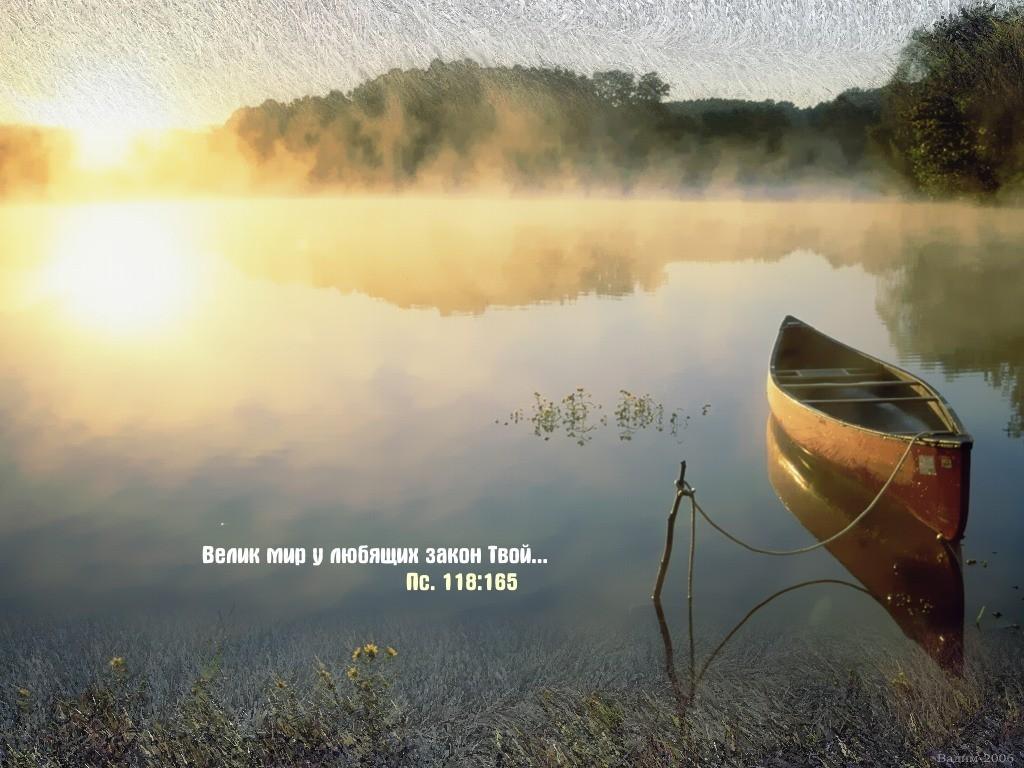 От худшего.(Отзыв на "Обречённому поэту посвящается"Романа Горюнова 2)