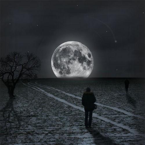 Не для гения шахматных партий