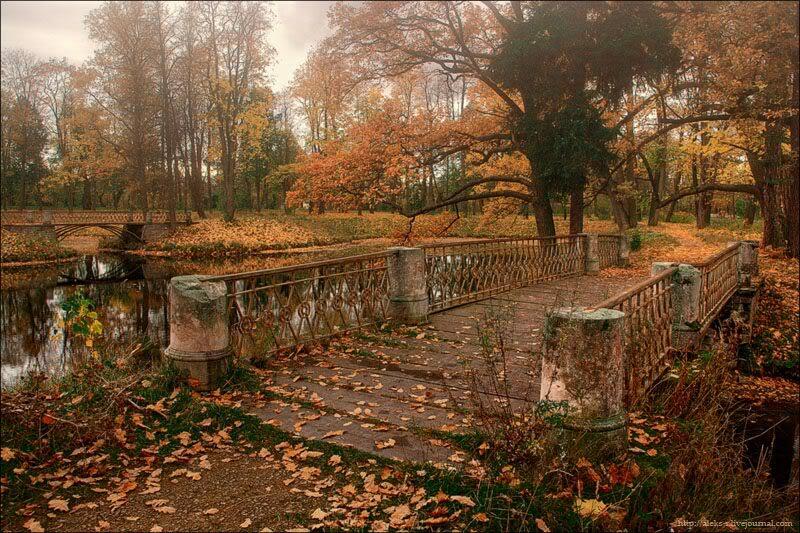 Затишье в нашем сквере [C]