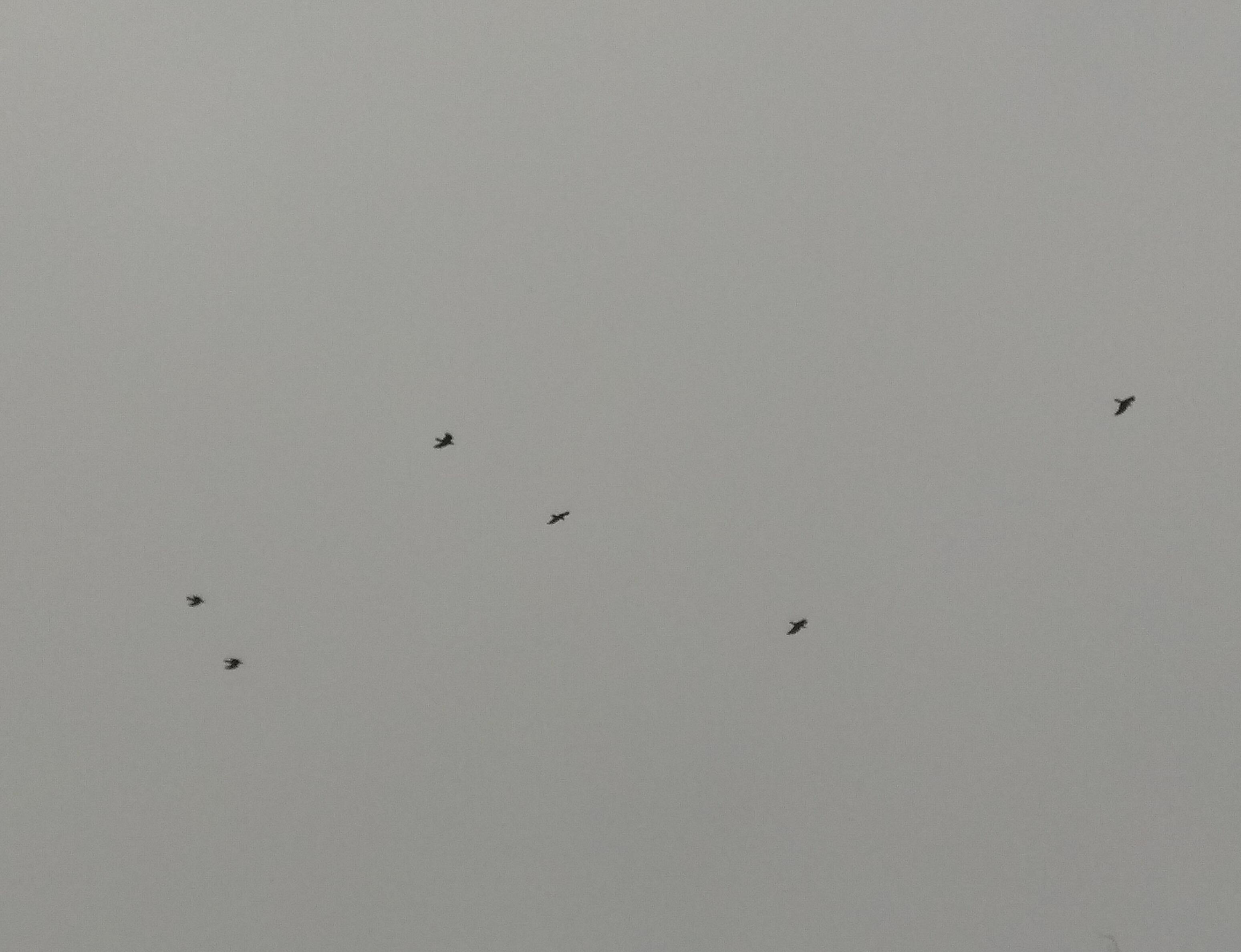 Несколько слов о любви