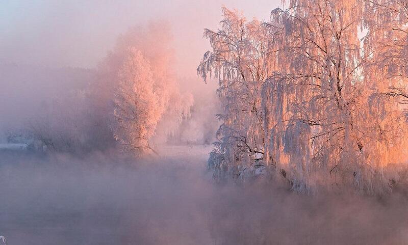 01892 Зимний туман