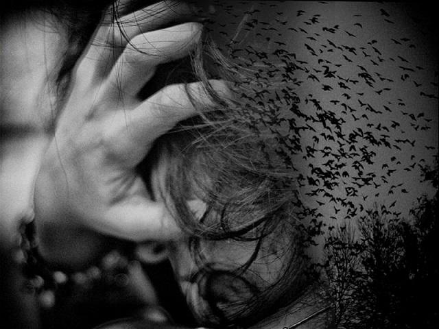 "Самоизоляция" (22,24.02.2015)