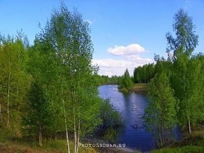 КОМУ НА РУСИ ХОРОШО?