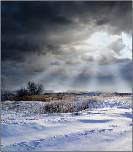 Белый снег Воркуты...