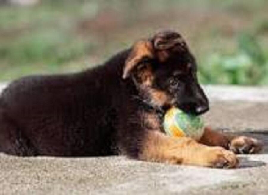 СТИХИ ДЕТЯМ_9