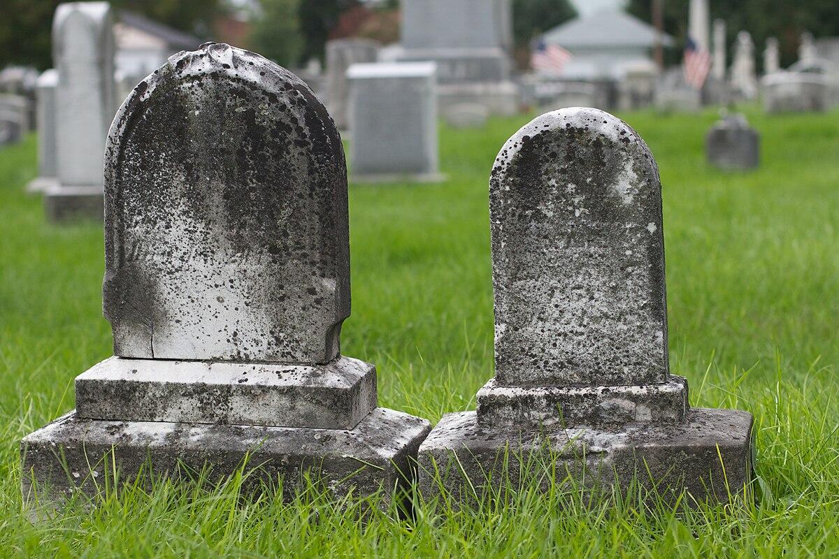 Долгожданная встреча