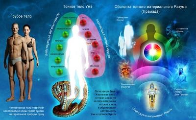 Тонкая оболочка