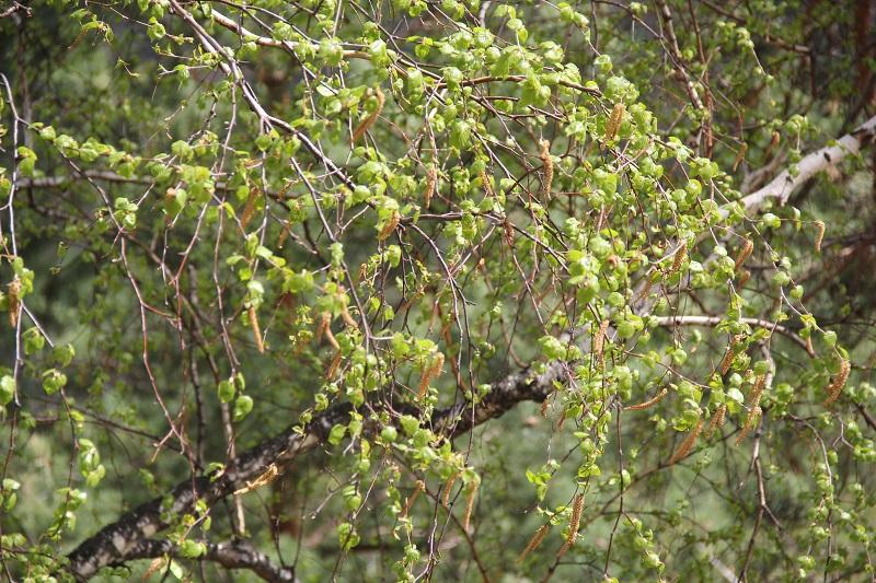 БЫЛ ПОСЛЕДНИЙ ДЕНЬ АПРЕЛЯ...