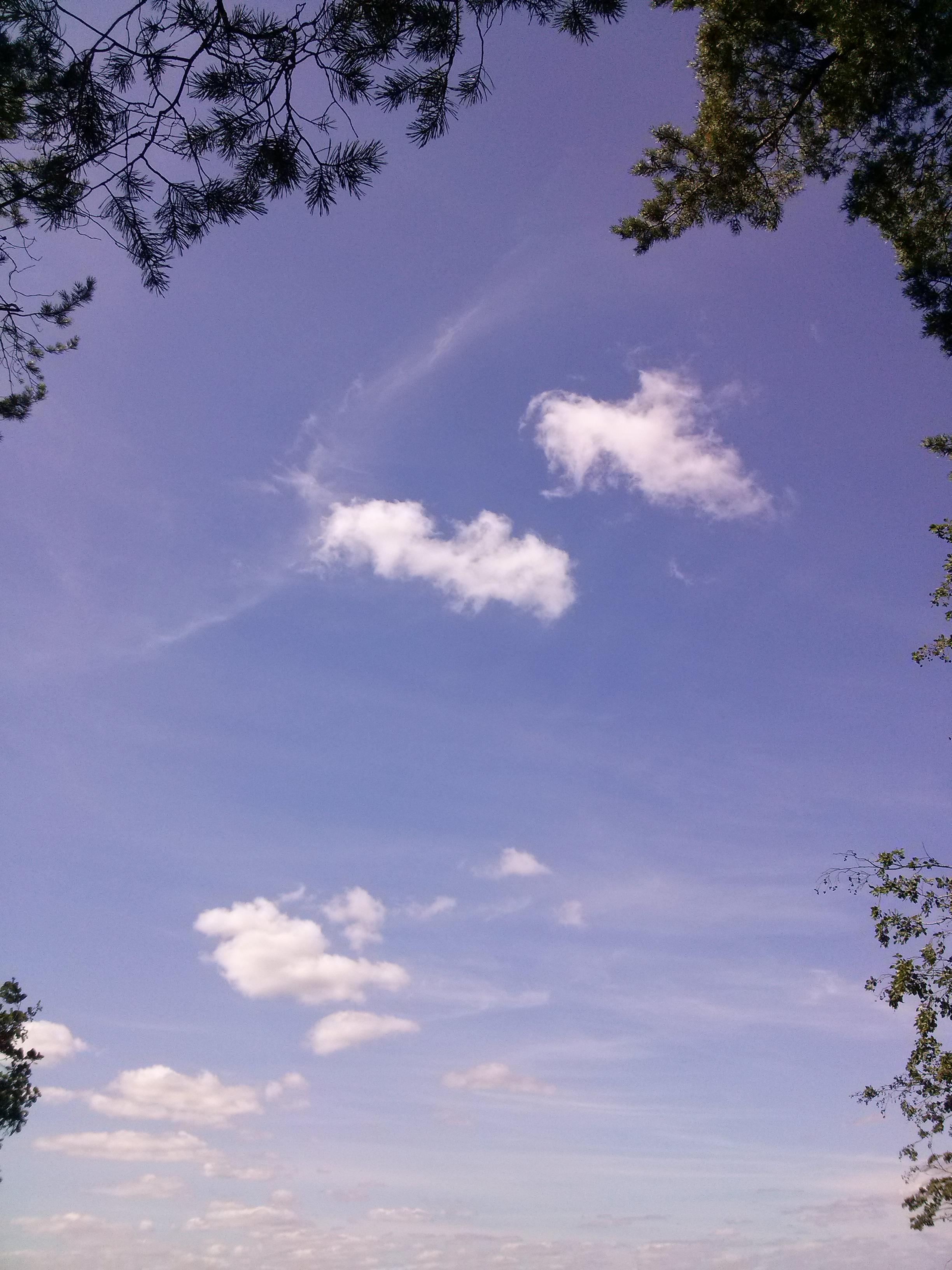 Дорога домой от 5. 08. 2010