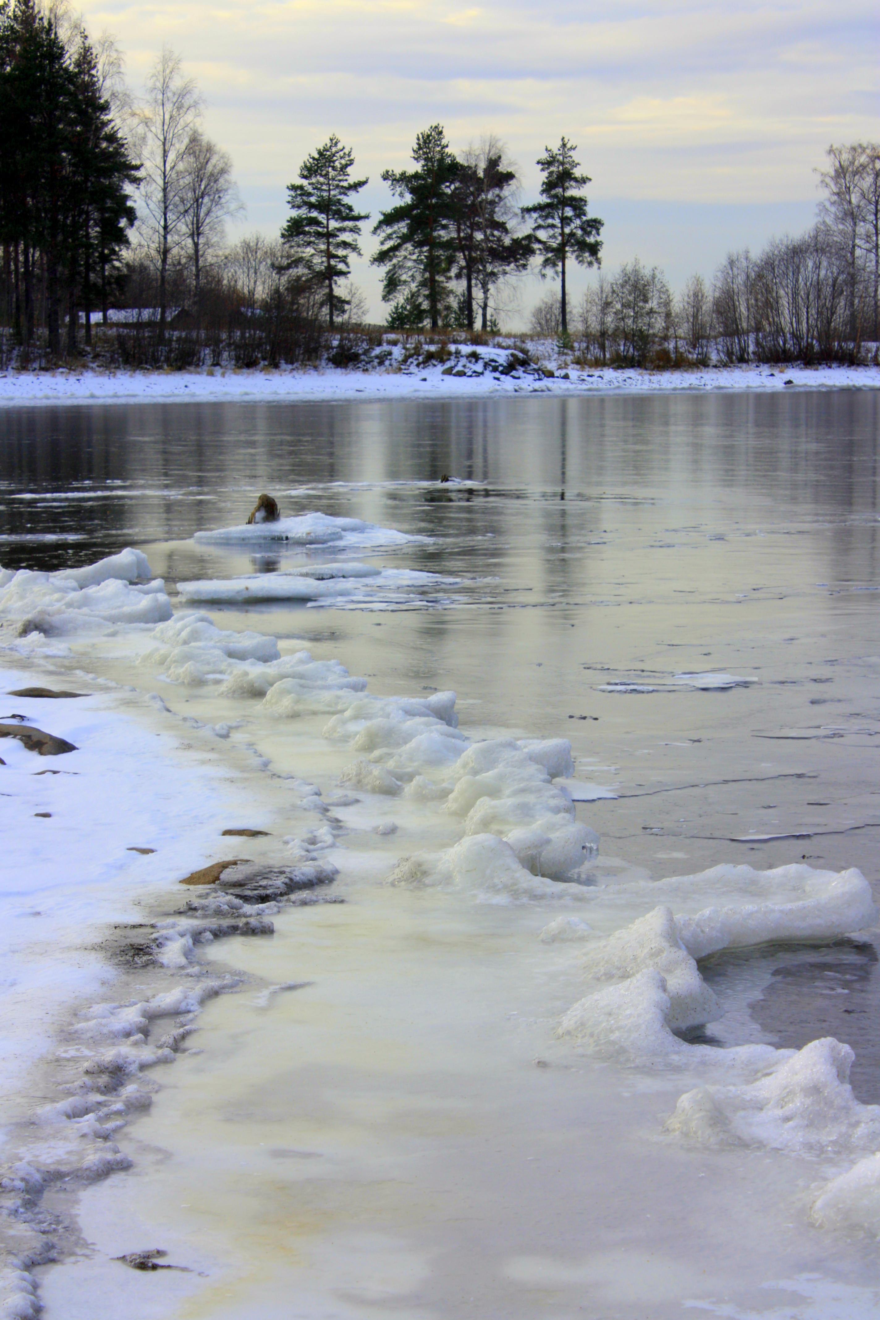 Ранняя зима