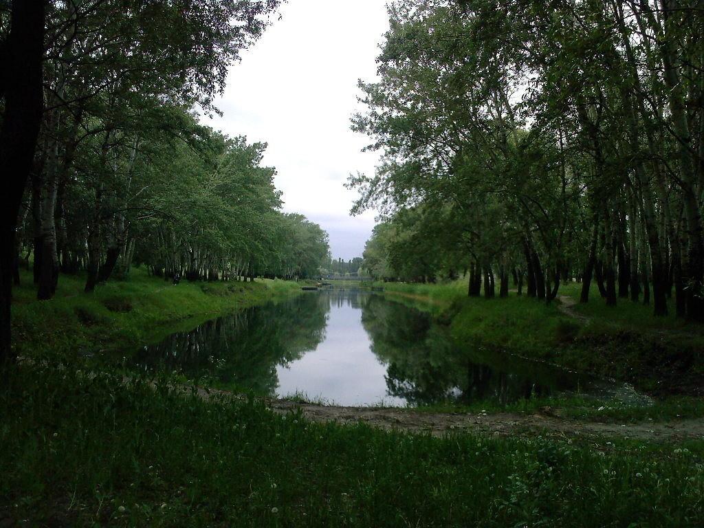 В былую жизнь, где ты был не чужим...
