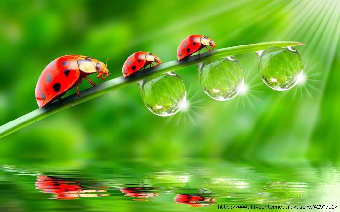 Весенний мотив.