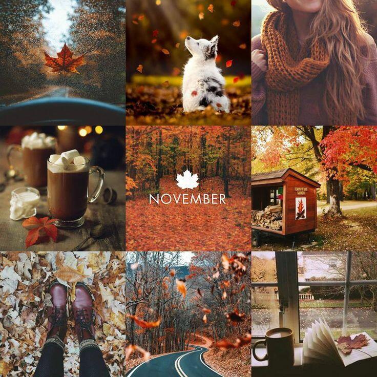 Ноябрь будет долгим, зябким, хмурым