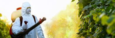 Не был я на Средиземном