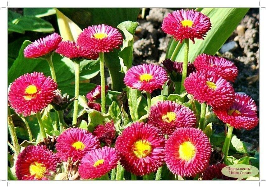 В день рождения - от души!