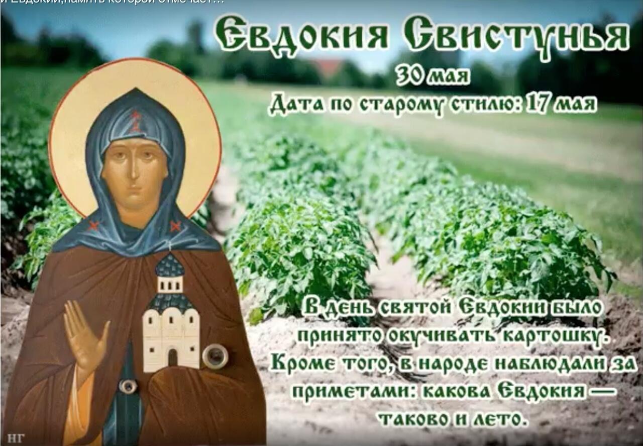 30 мая - Евдокия Свистунья