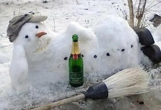 ЮЖНЫЙ СНЕГОВИК