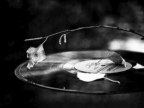 Вспомни хоть раз сердцем былое...