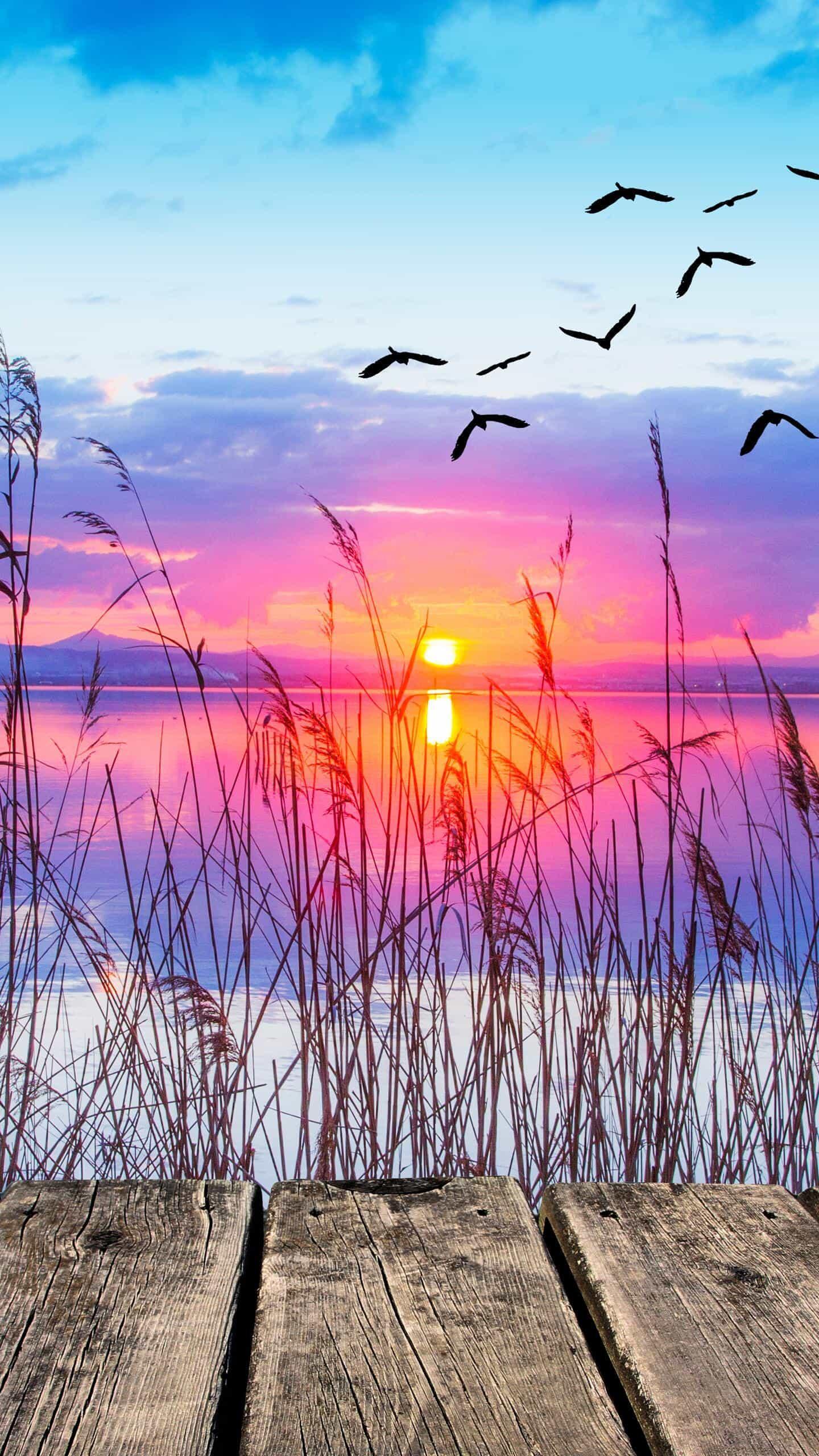 Драконы вырвались из плена. 