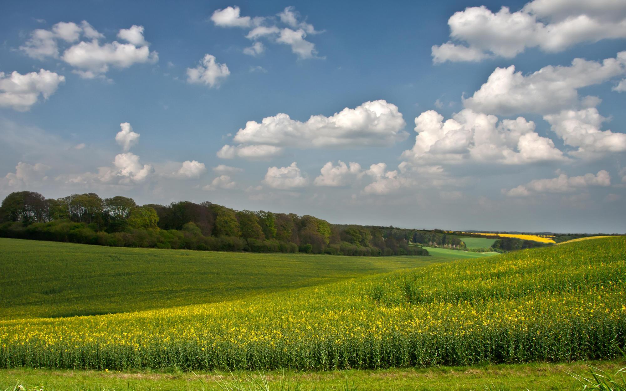 Третья планета