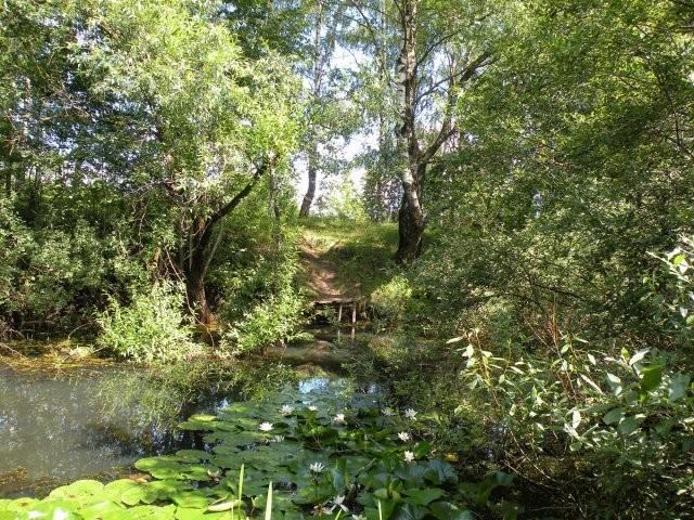 Люблю тебя, Россия...