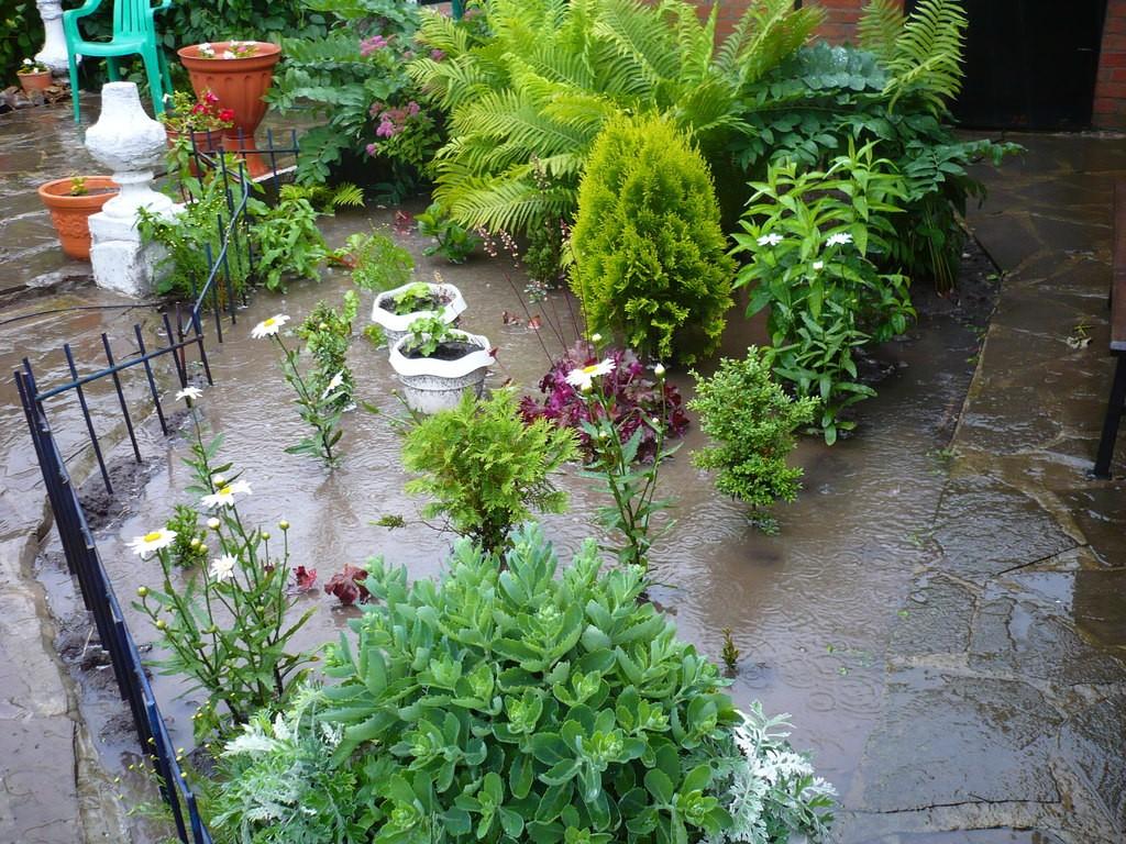 Дождь в июне