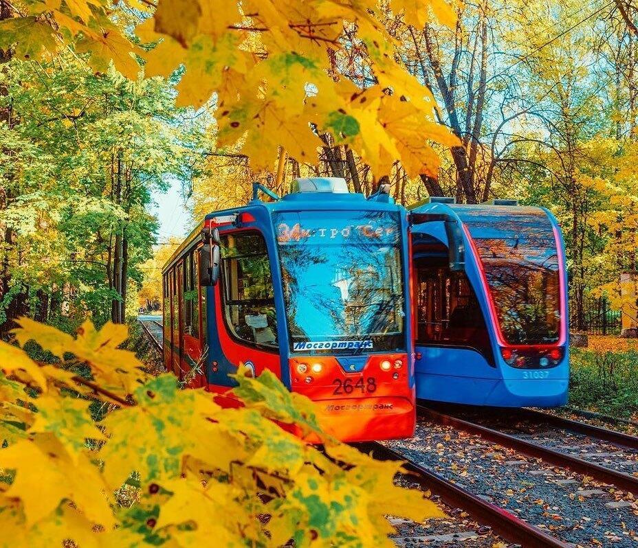 Осень в Москве...