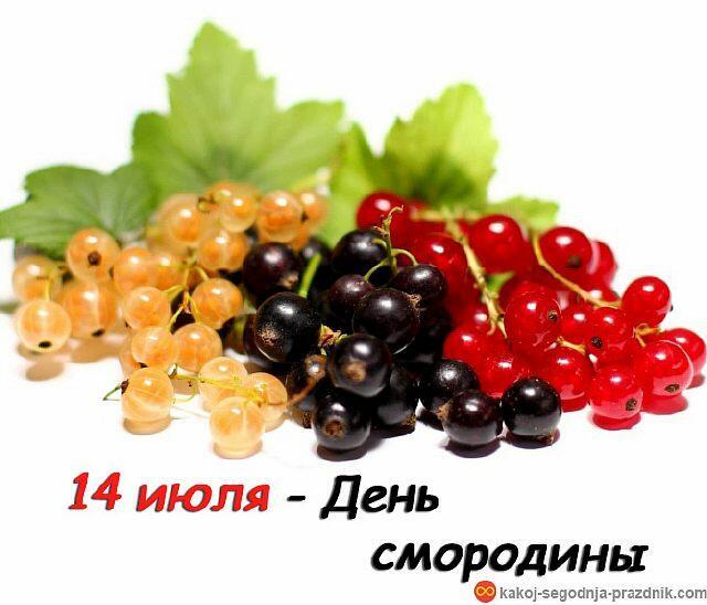 Смородина