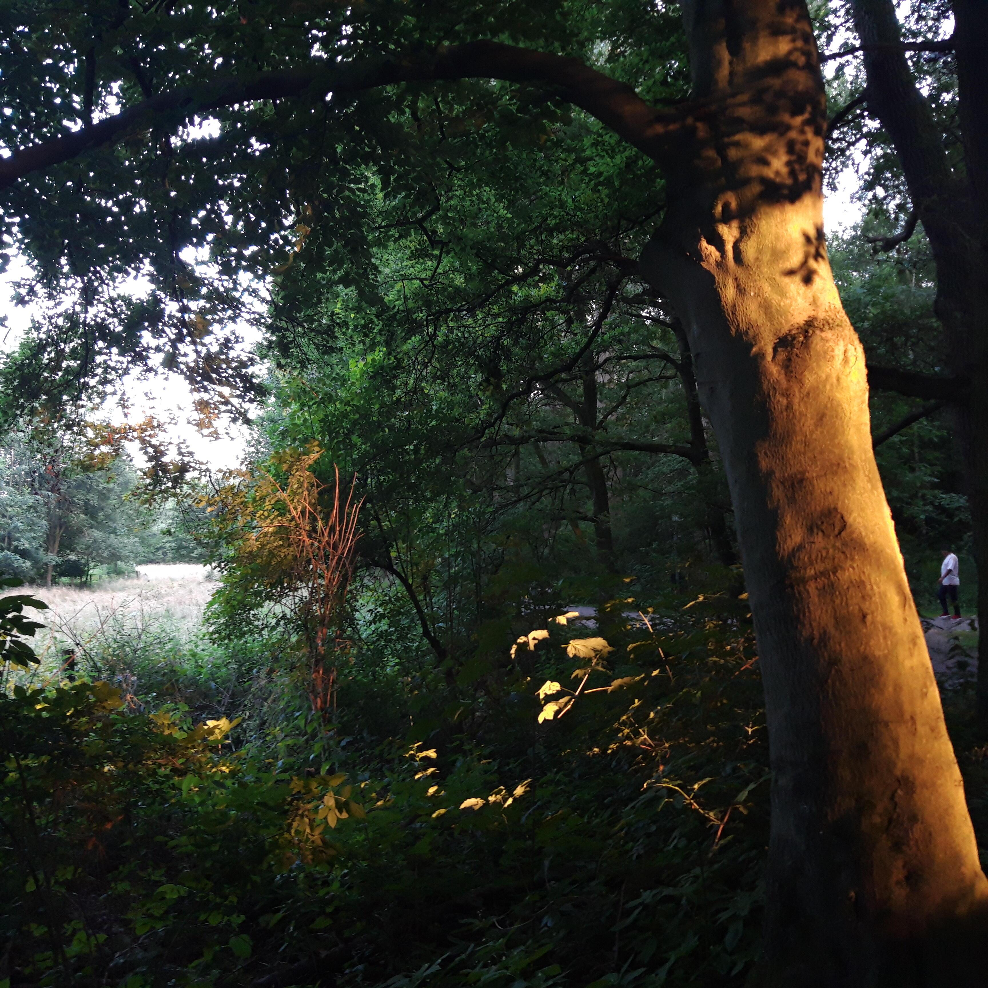 Путешествие в Себя