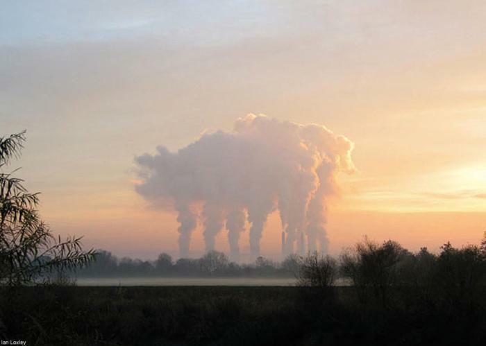 Слон трубил о чём-то свысока /почти колыбельная/