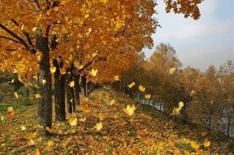 "Золотая пора" (13.06.2017)