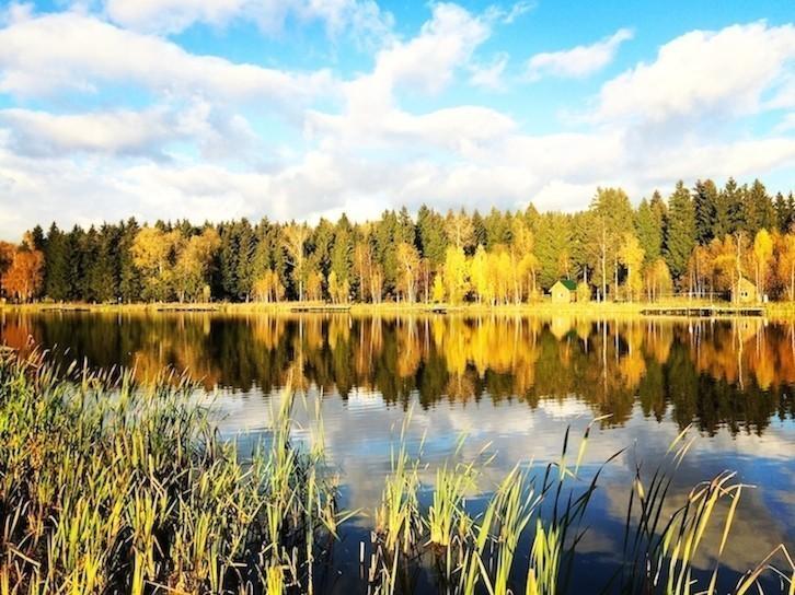 Я надел на себя этот ласковый день