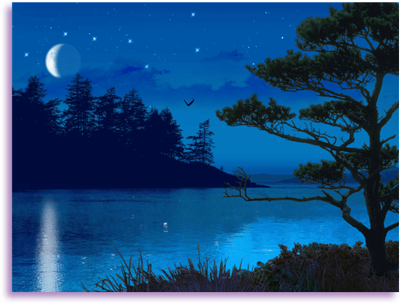 ночь  идёт....