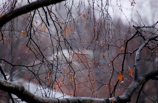 "Одиночества дождь" (22.09.2015)