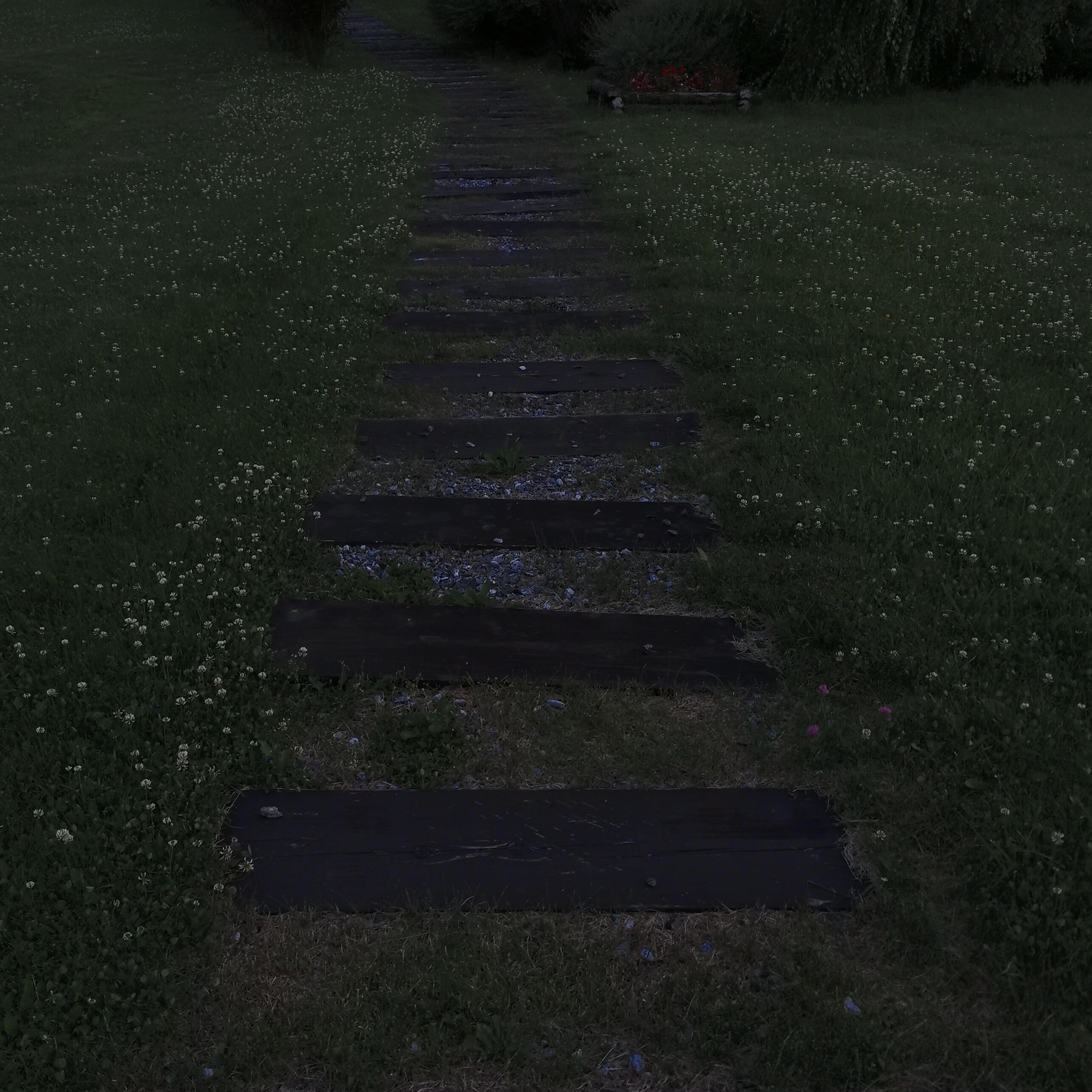 Крик изнутри