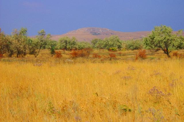 Философский