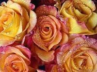 Ты был и есть и будешь вечно.