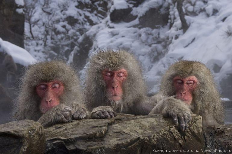 Реквием по своим следам