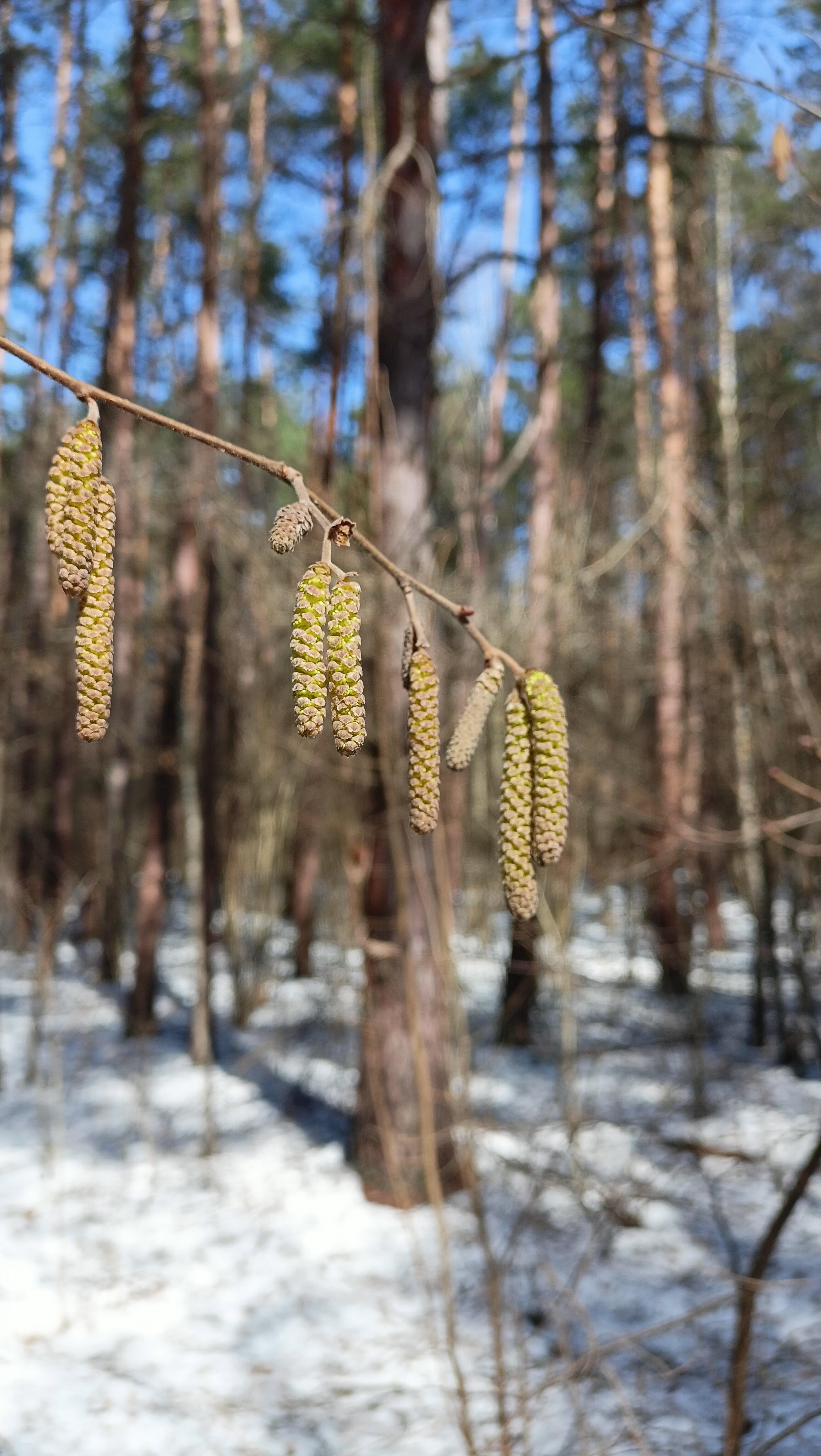 Вы отворите сердце шире