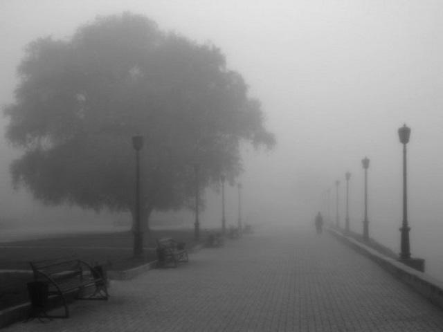 "Для тех,кто привык быть один" (19.12.2017)