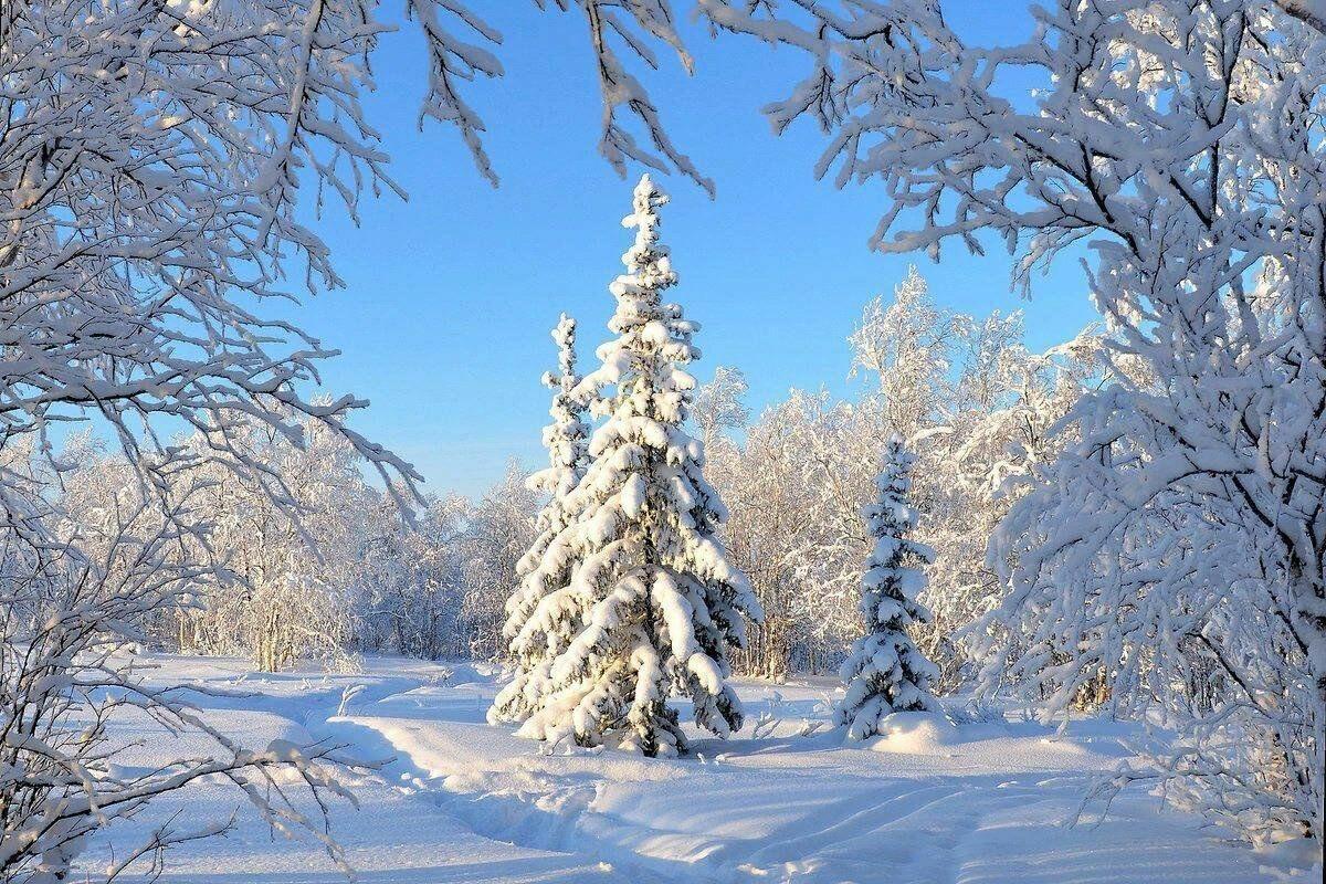 Зимний поцелуй