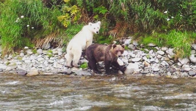 Камчатское чудо