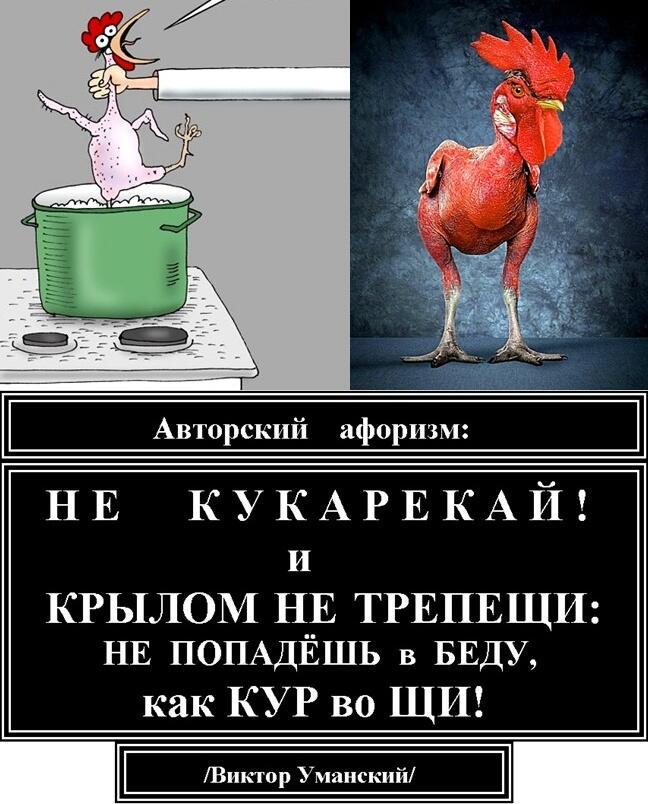 Комикс-афоризм =Не кукарекай и крылом не трепещи!=