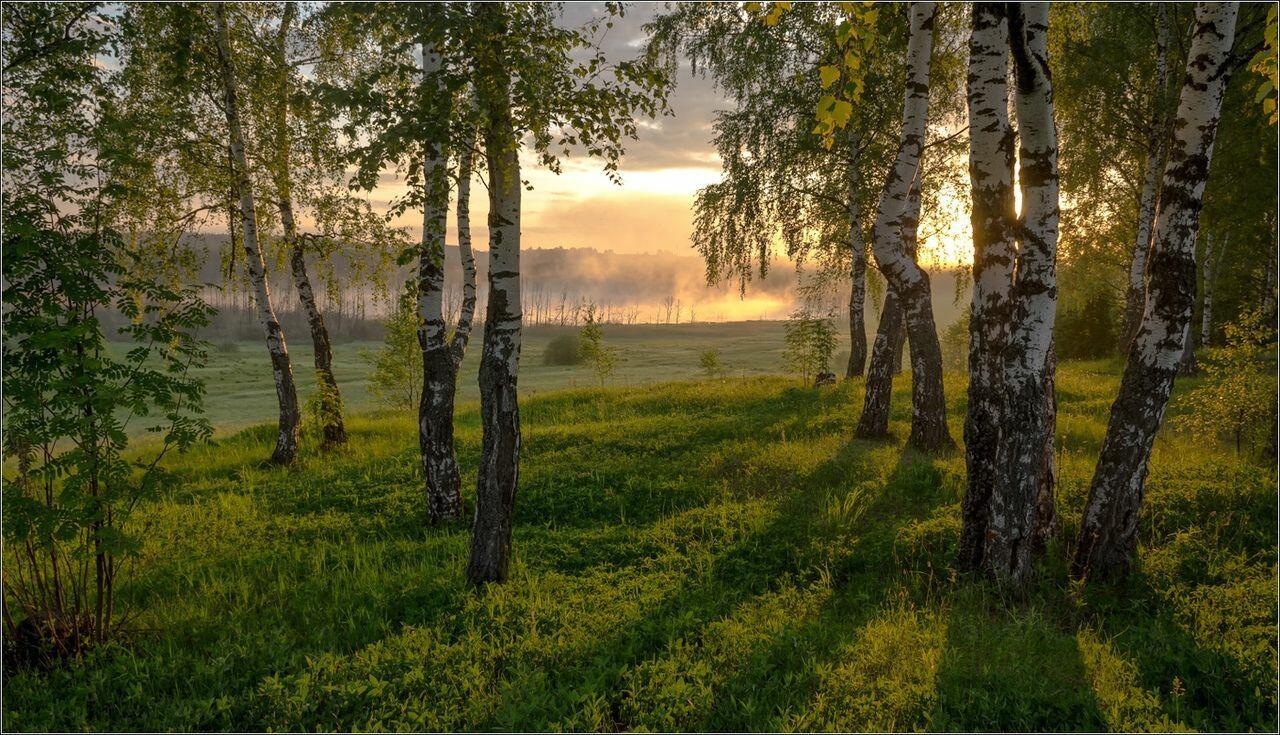 Подарите мне жизнь