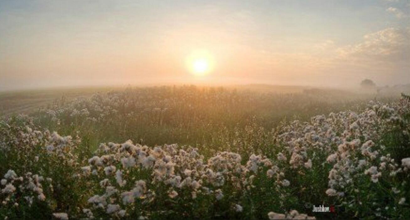 Утром ранним...