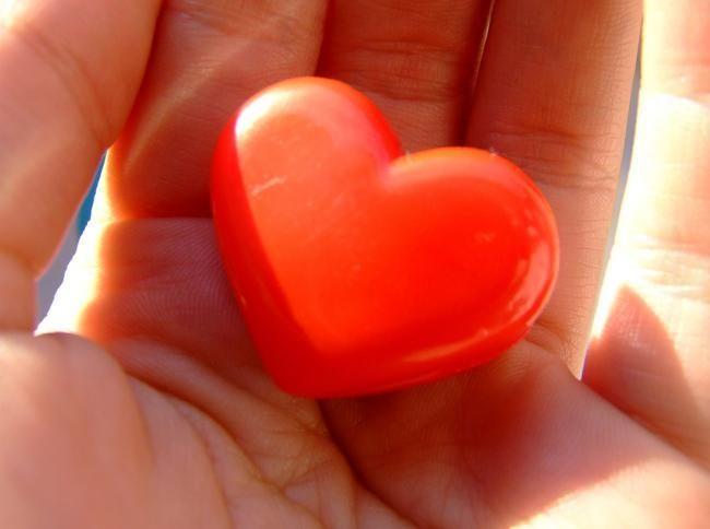 Ответ поэту - Медведь Белый - РАССКАЖУ